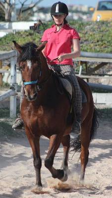 Reitunterricht auf einem spanischen Pferd